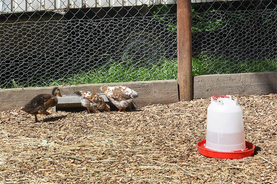 Foto aus der Fotogruppe 