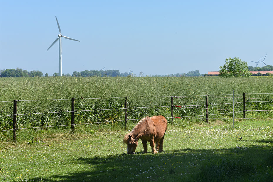 Foto aus der Fotogruppe 